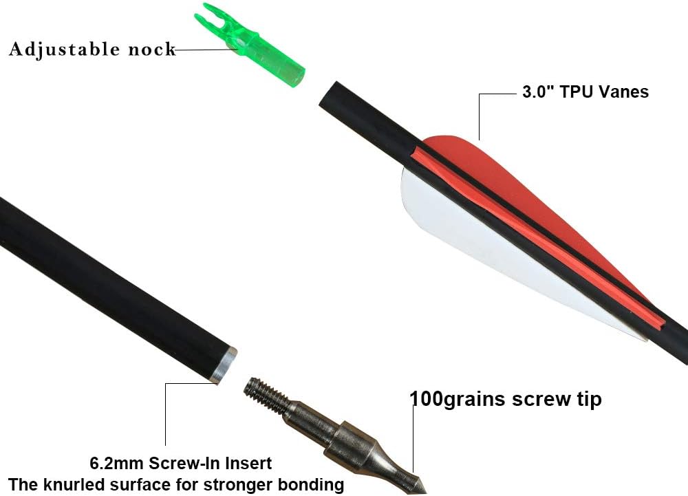 12 Flechas de Carbono 76cm para Arco