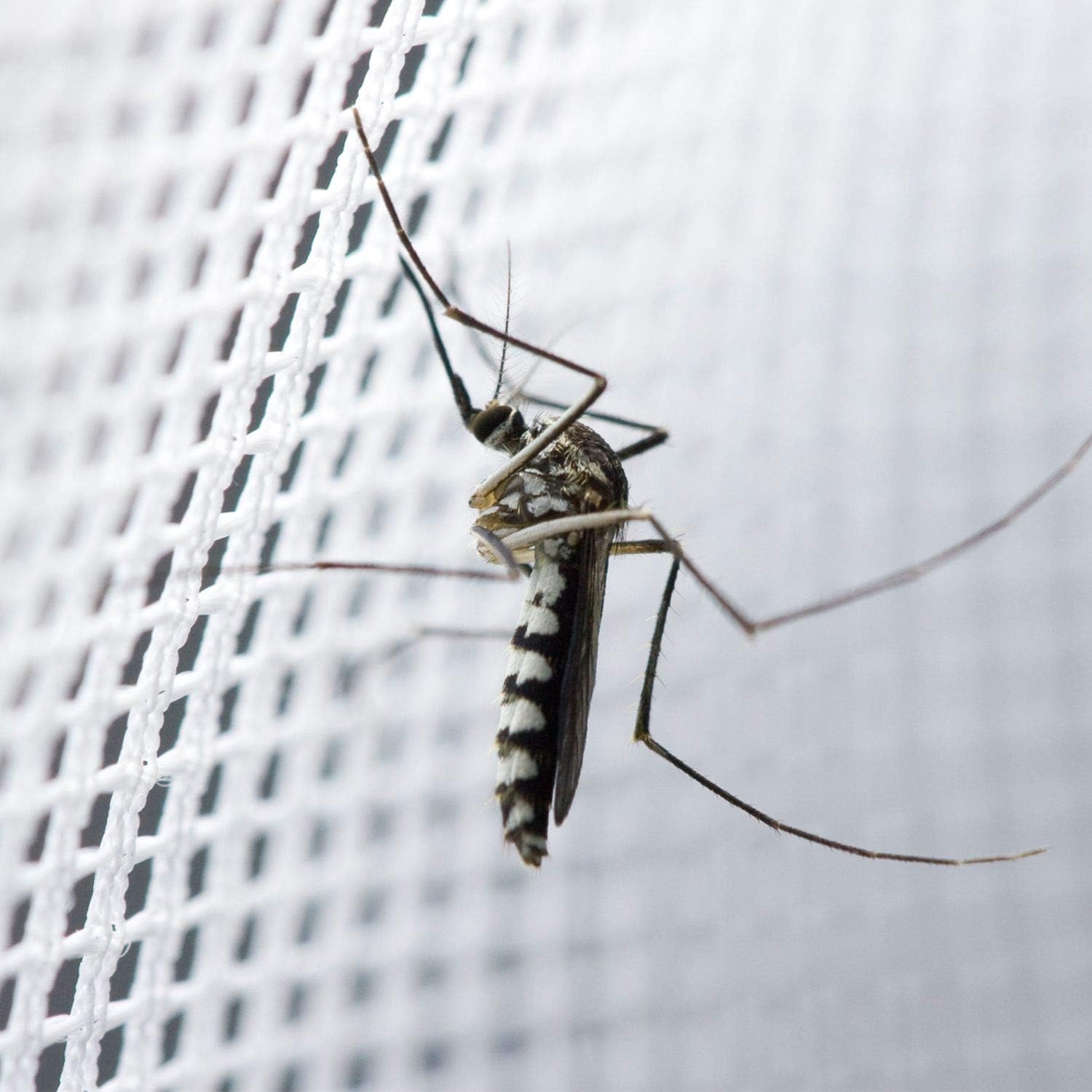 Mosquitera portátil para camas