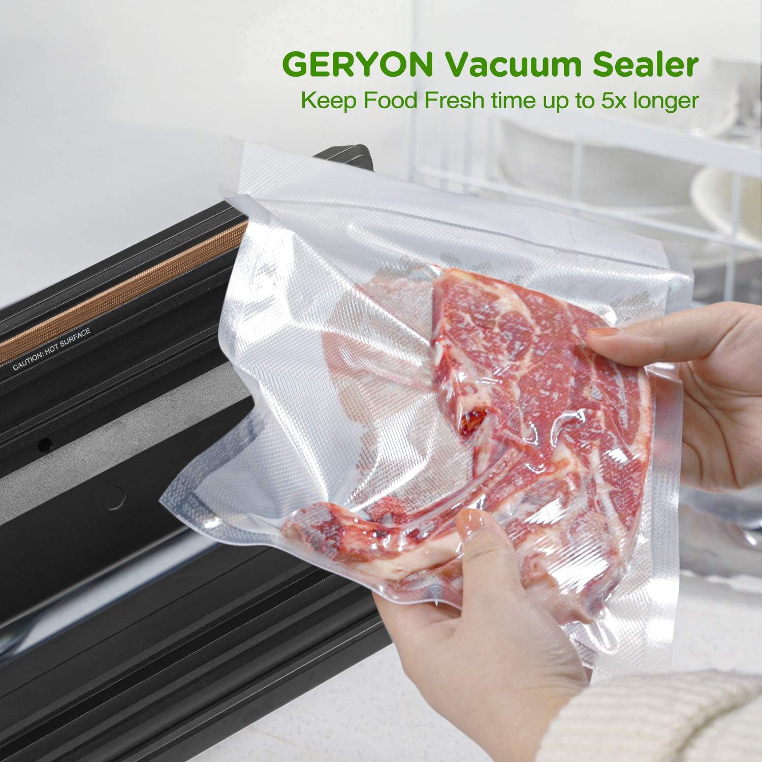 Sellador al vacío GERYON plata