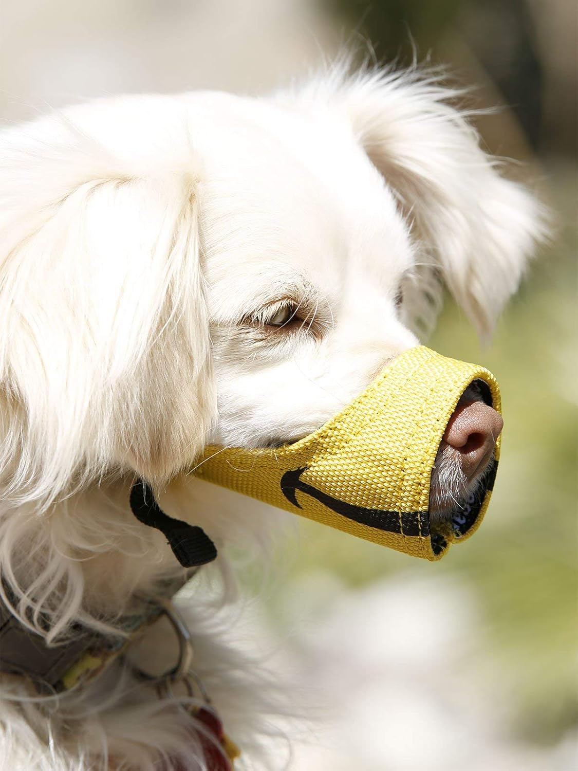 Muzzle Amarillo Talla 3