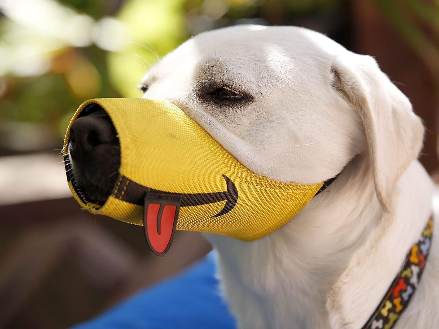 Muzzle Amarillo Talla 3