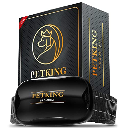 Collar Antiladridos PetKing