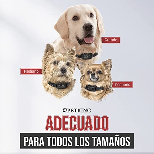 Collar Antiladridos PetKing