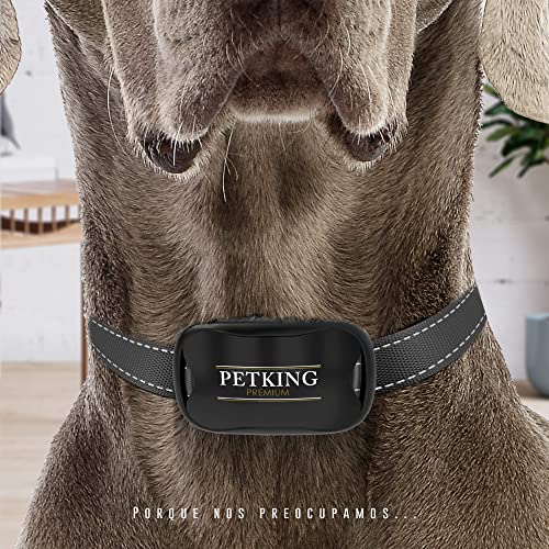 Collar Antiladridos PetKing