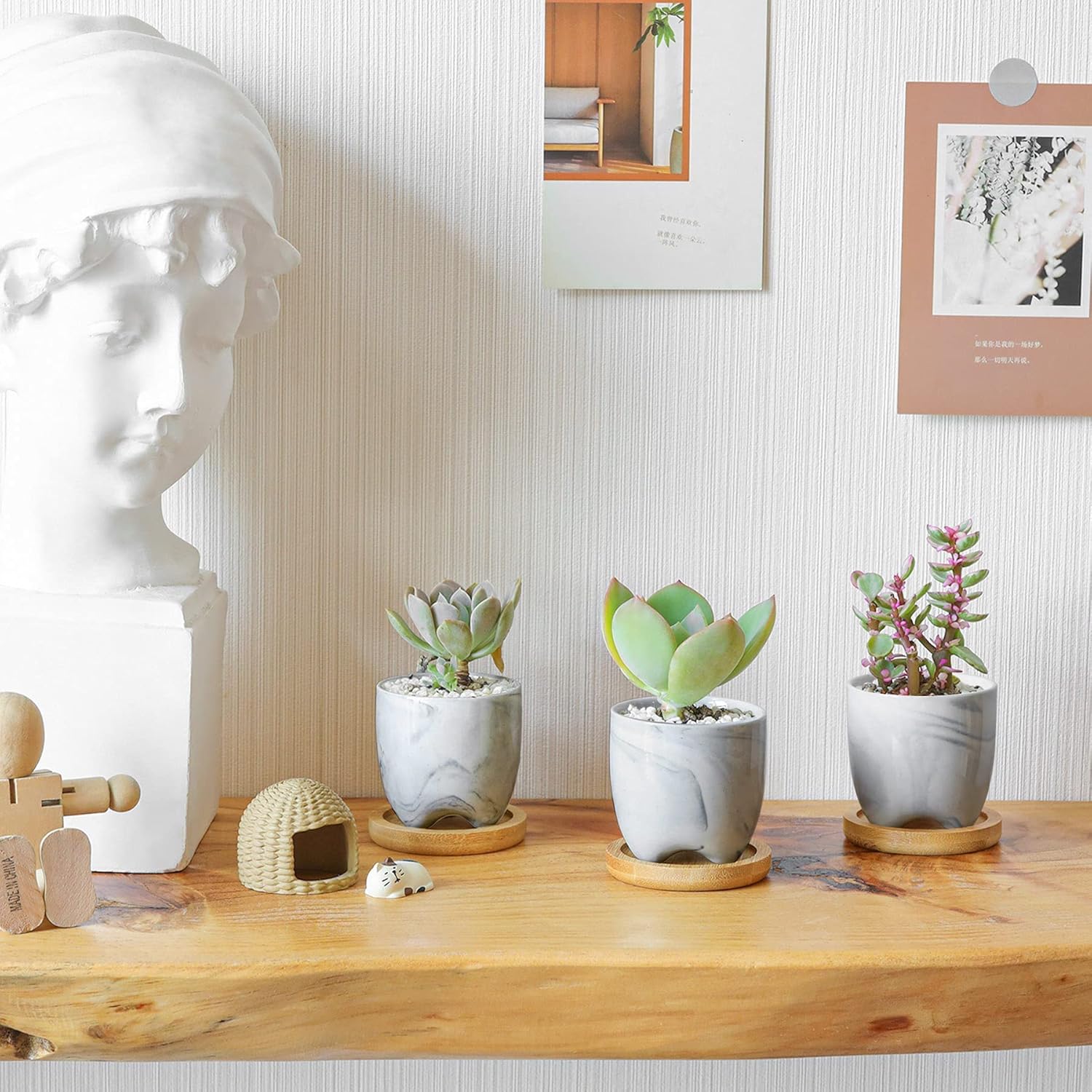 Planta Suculenta Mini 3 Pzas
