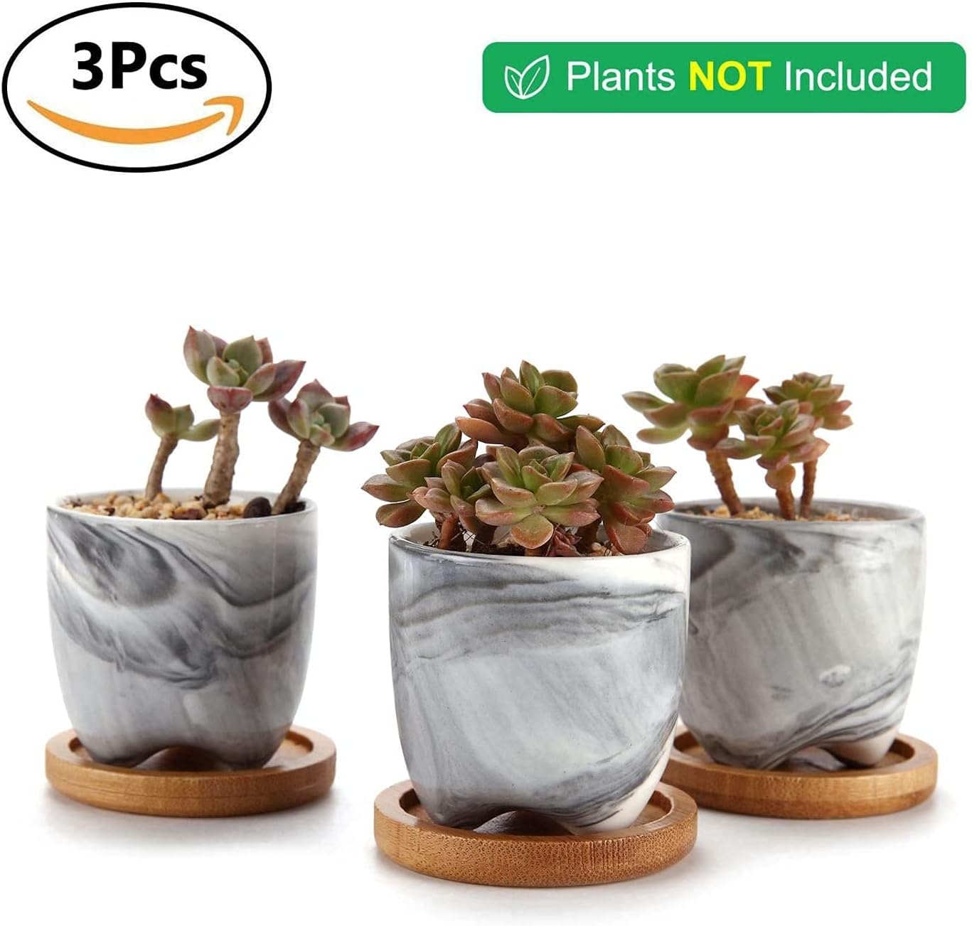 Planta Suculenta Mini 3 Pzas