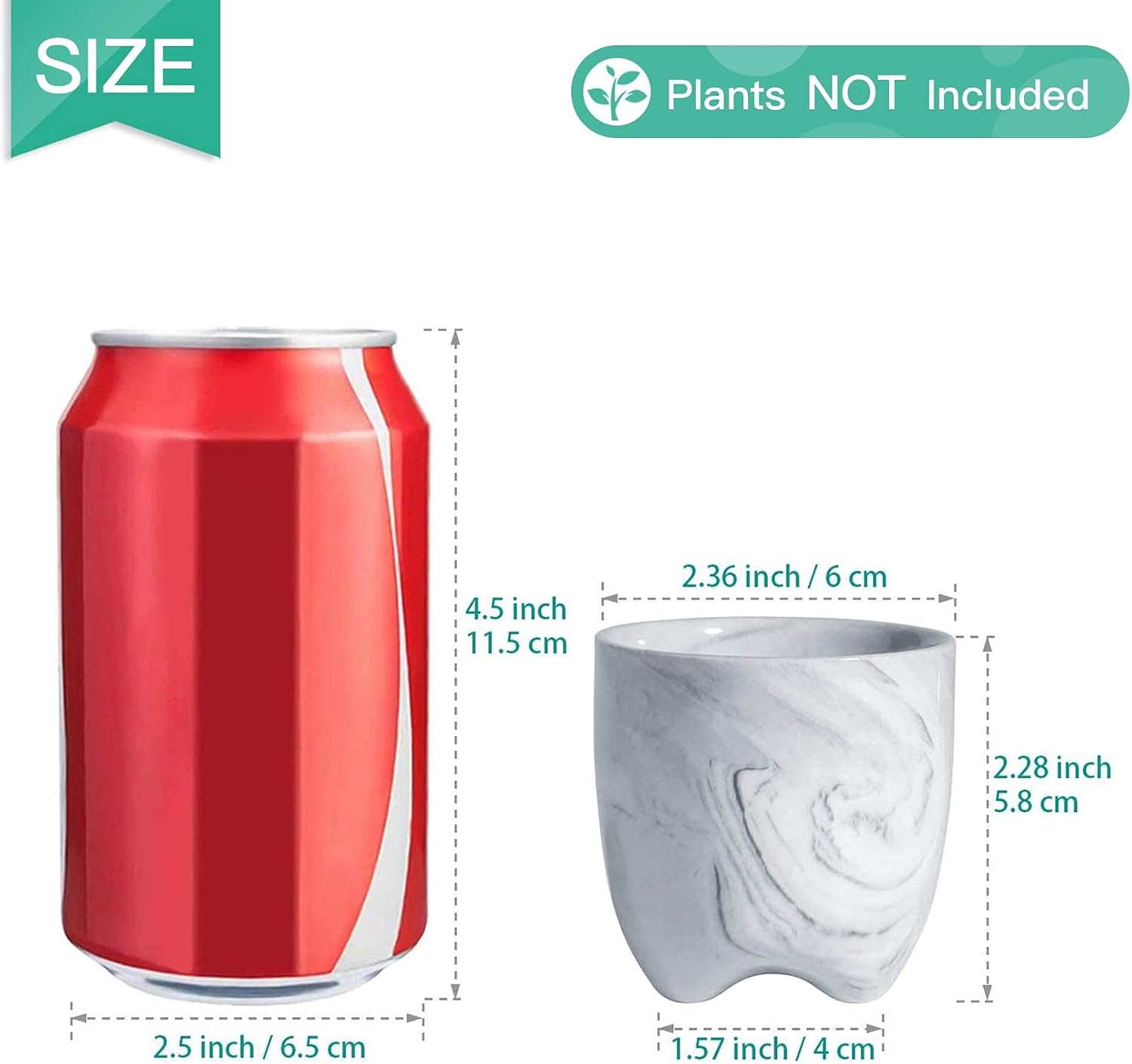 Planta Suculenta Mini 3 Pzas