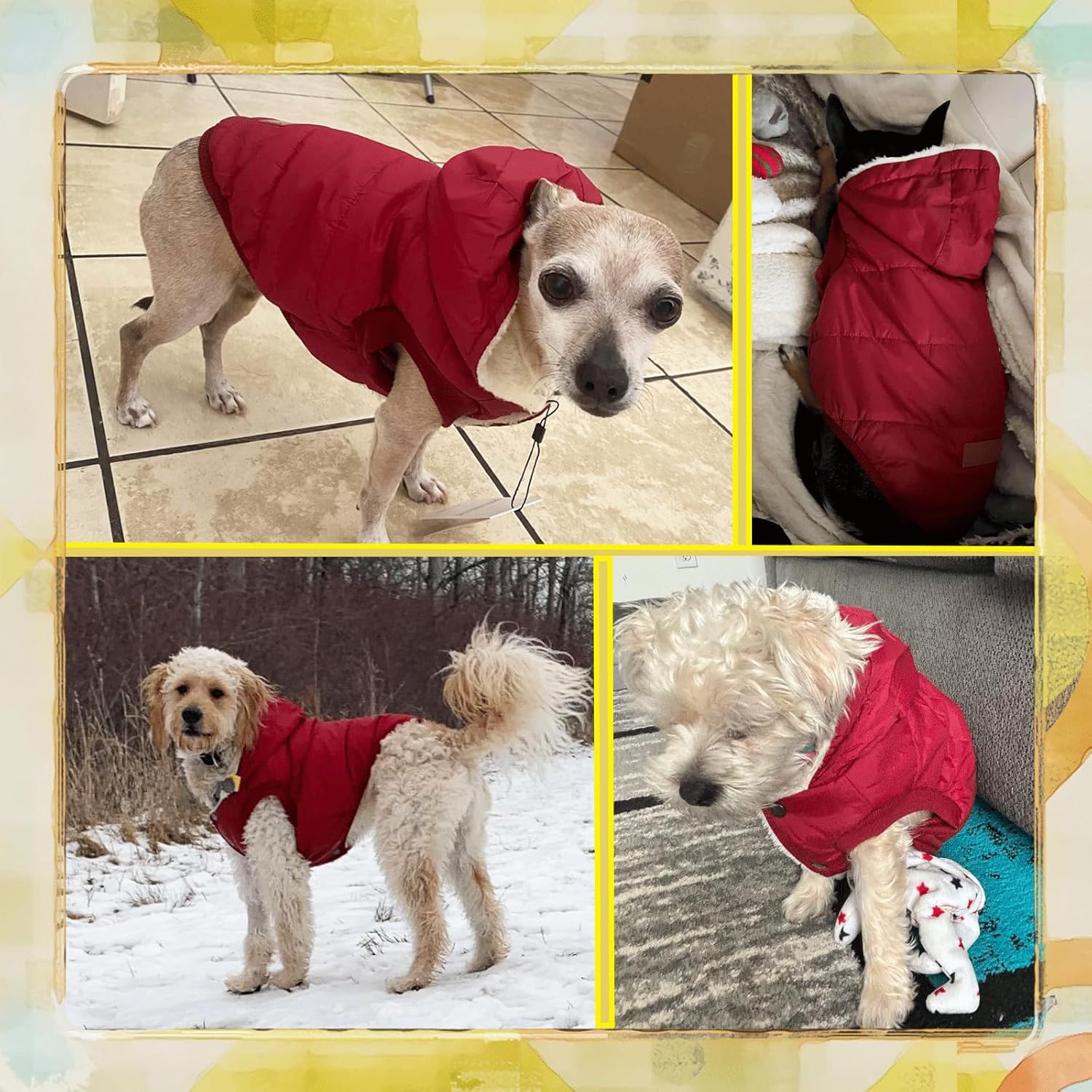 Chaqueta de invierno para mascotas