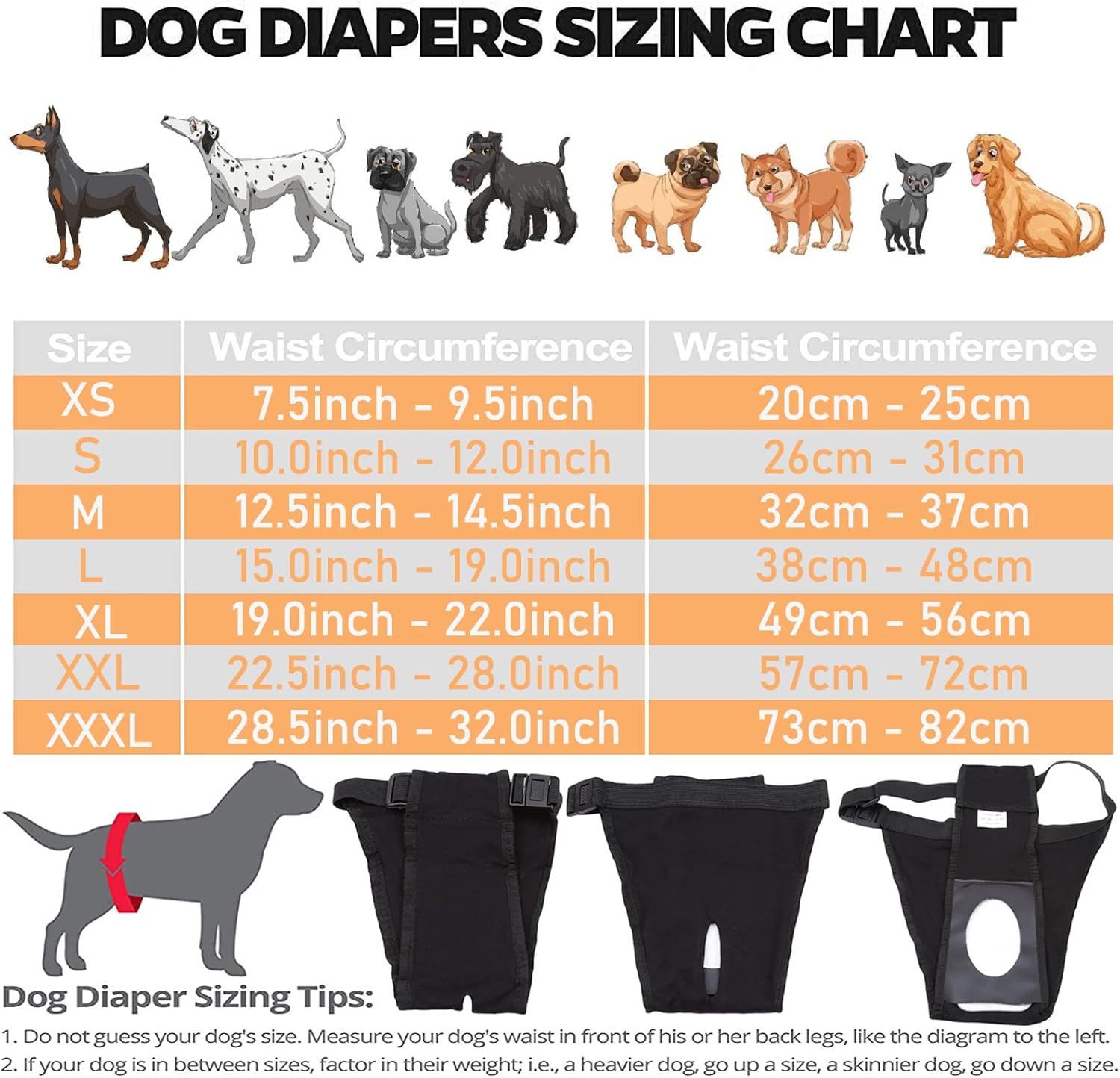 Braguitas para Perros en Celo