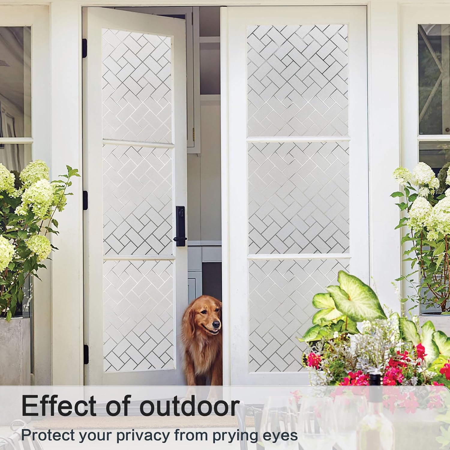 Película Decorativa para Ventanas