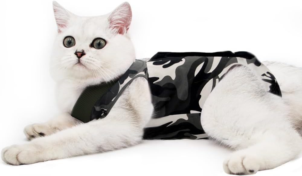 Traje de recuperación para mascotas