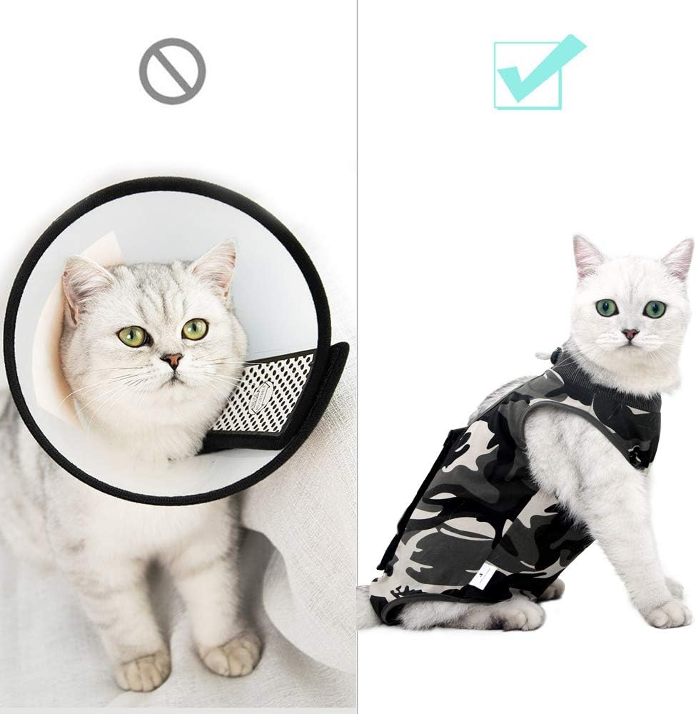 Traje de recuperación para mascotas