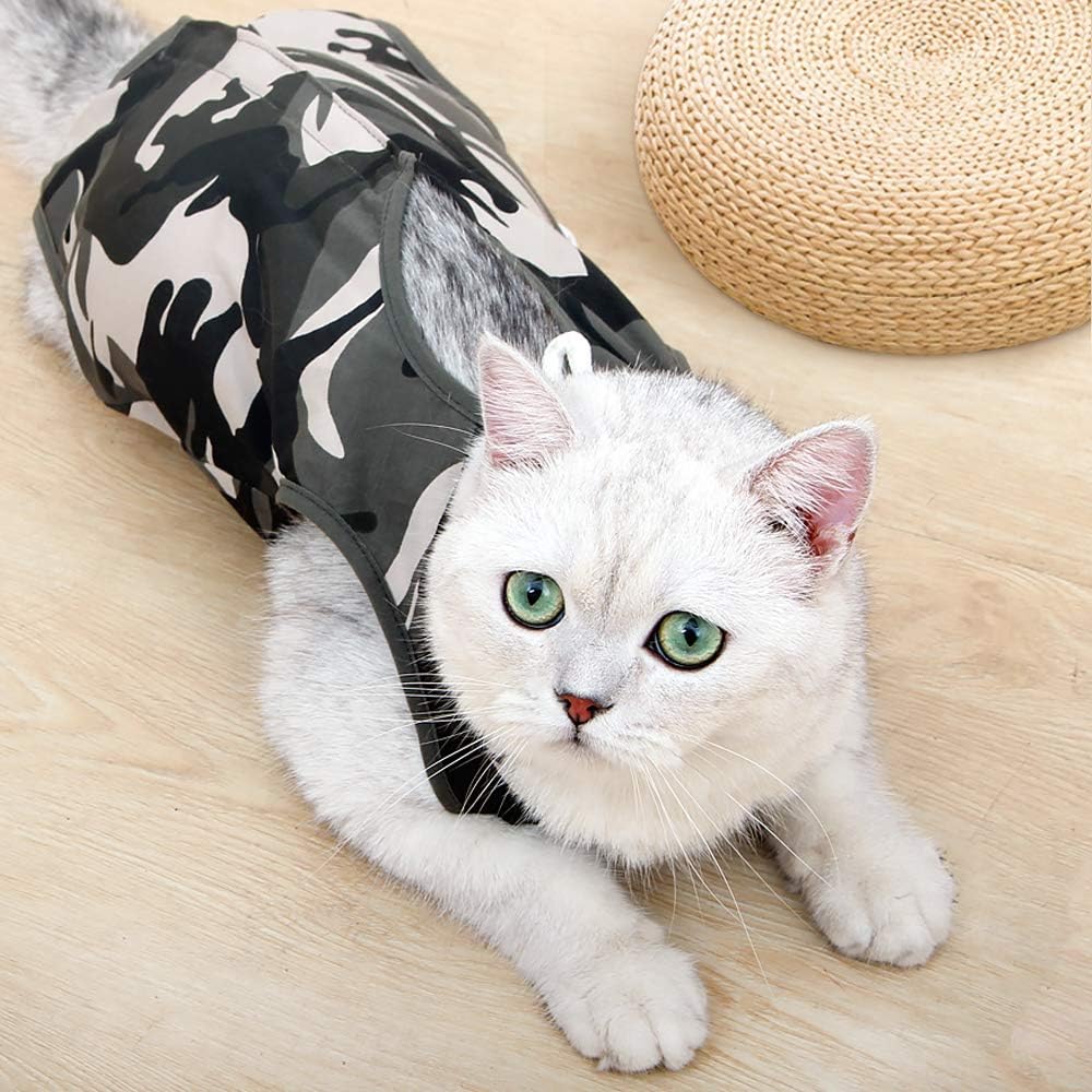 Traje de recuperación para mascotas