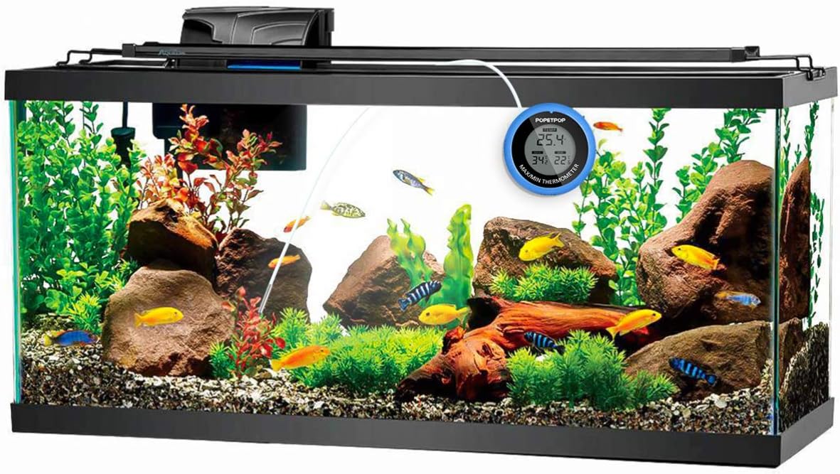 Termómetro digital para acuario