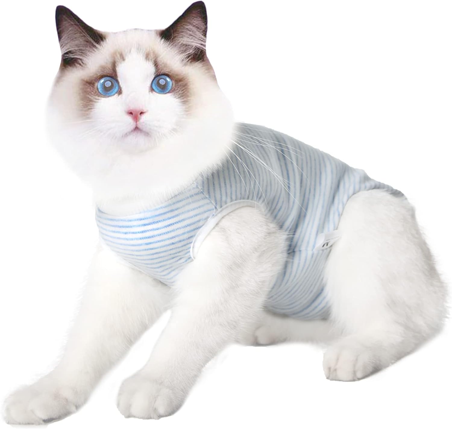 Camiseta de recuperación para gatos