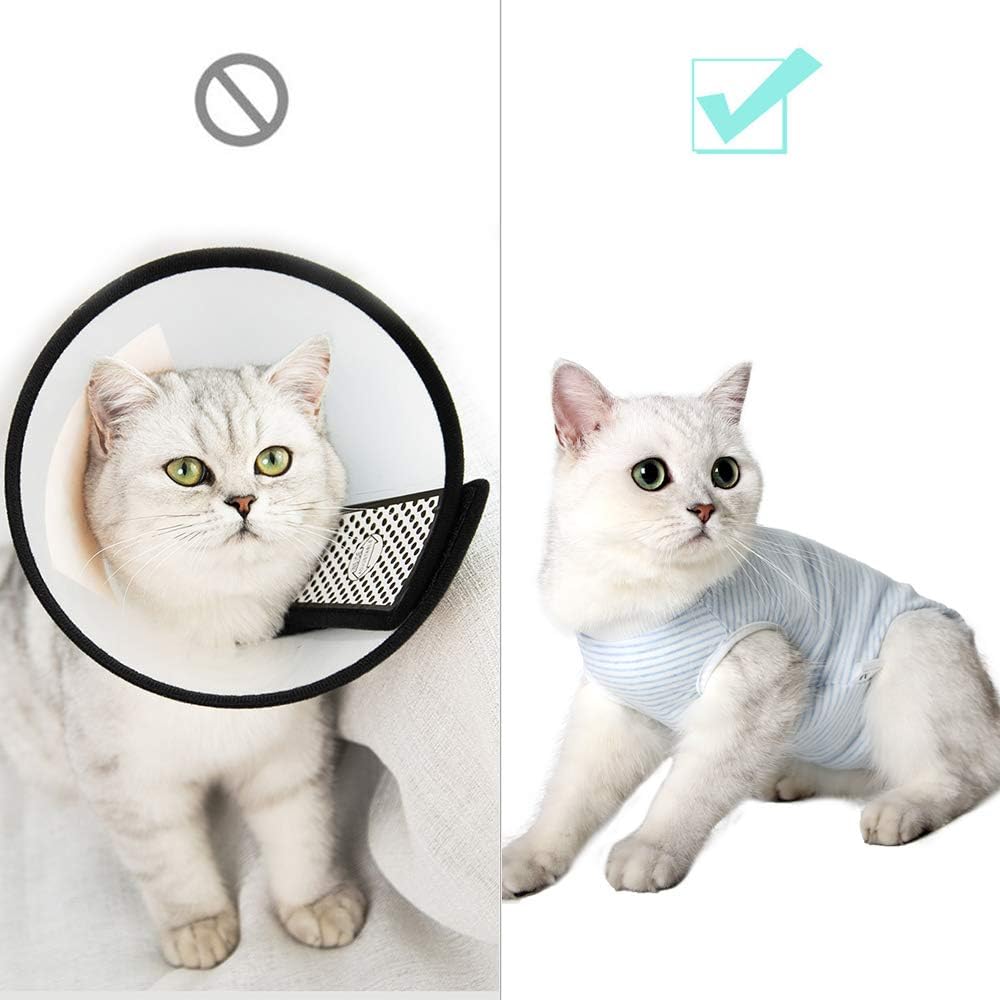 Camiseta de recuperación para gatos
