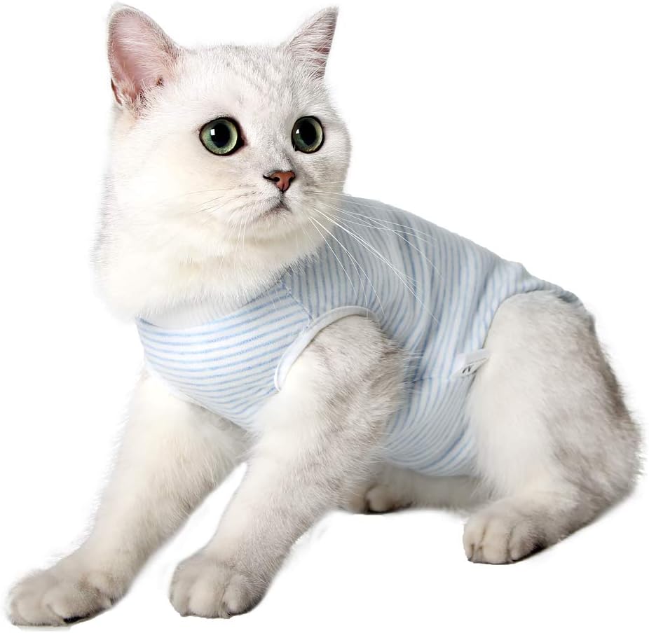 Camiseta de recuperación para gatos