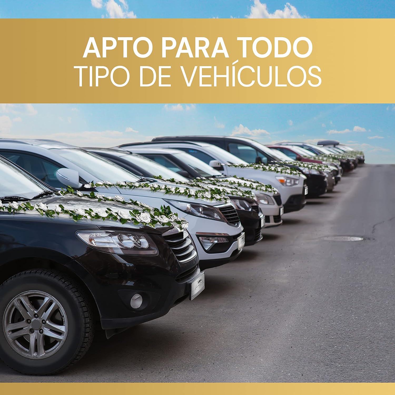 Decoración de Coche de Boda