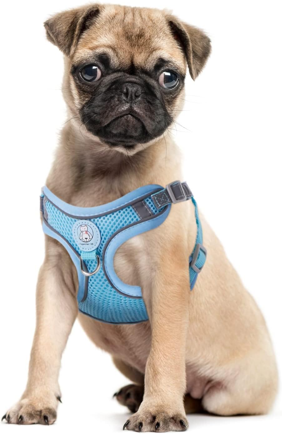 Arnés transpirable para perros