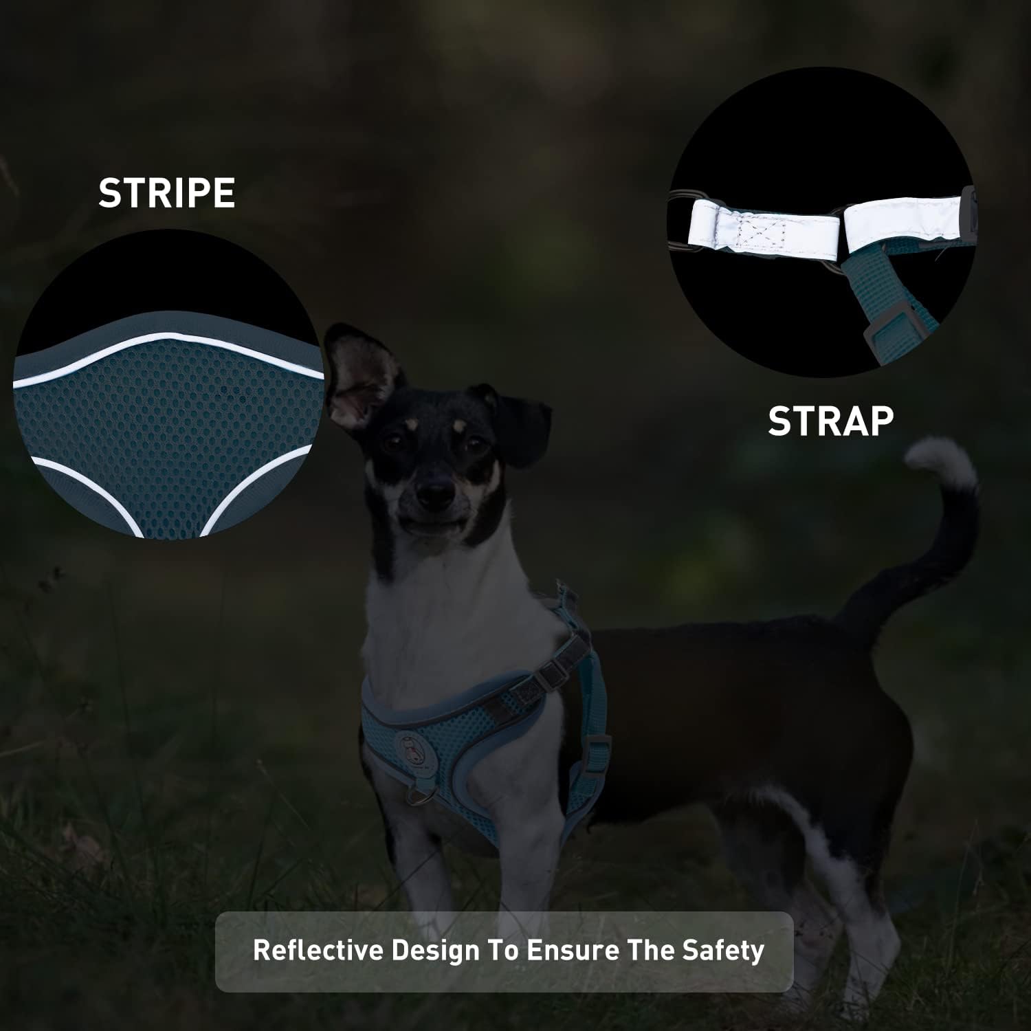 Arnés transpirable para perros