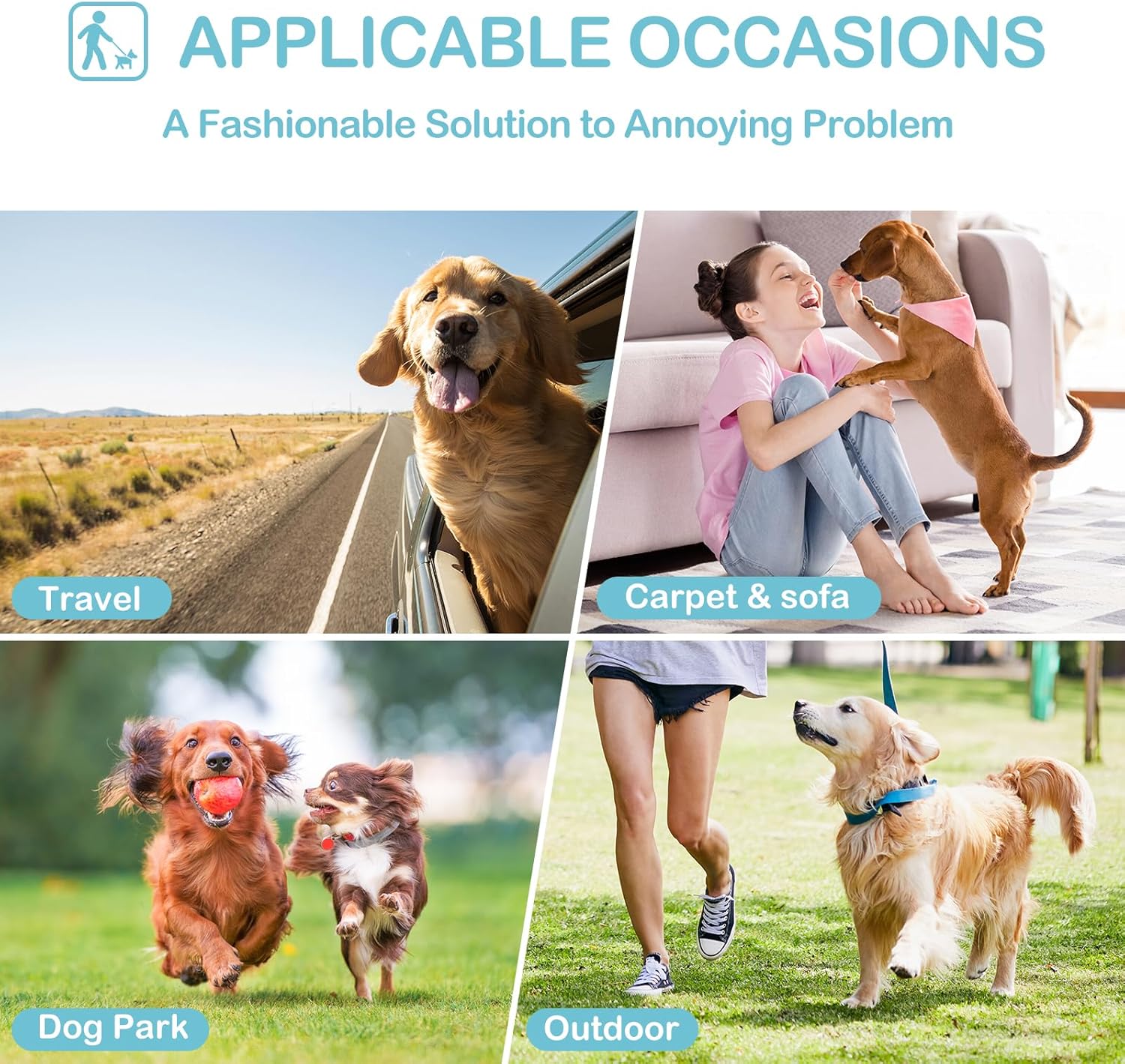 Pañales Lavables para Perros