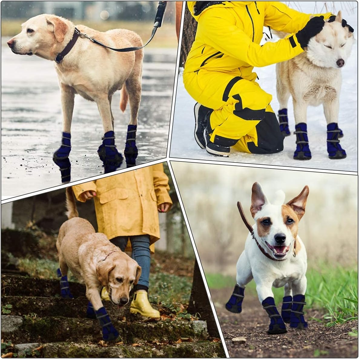 Botas Impermeables para Perros