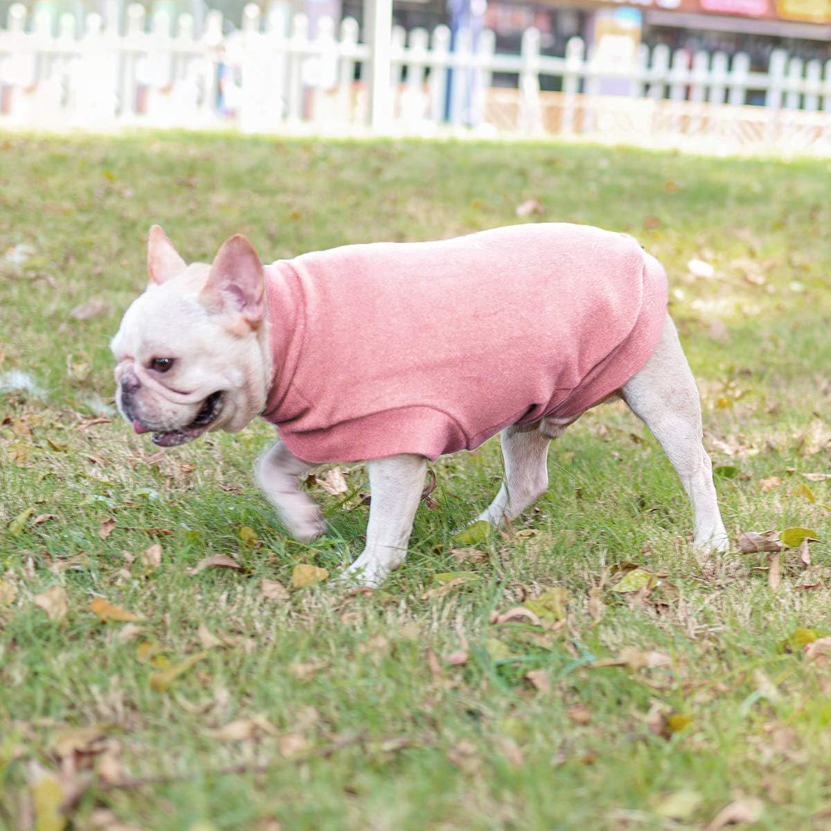 Suéter Rosa para Perro Pequeño