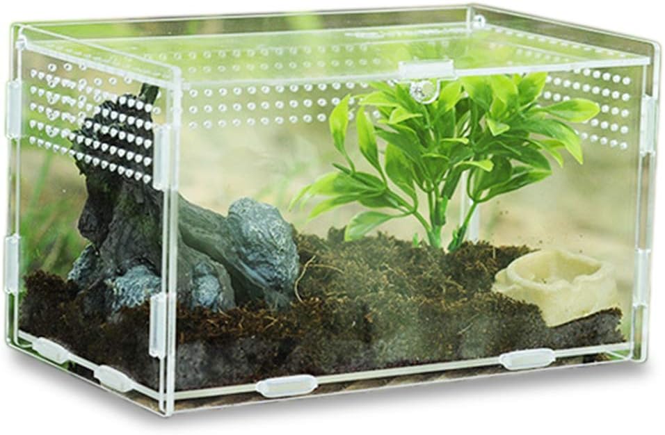 Caja Alimentación Insectos claro1