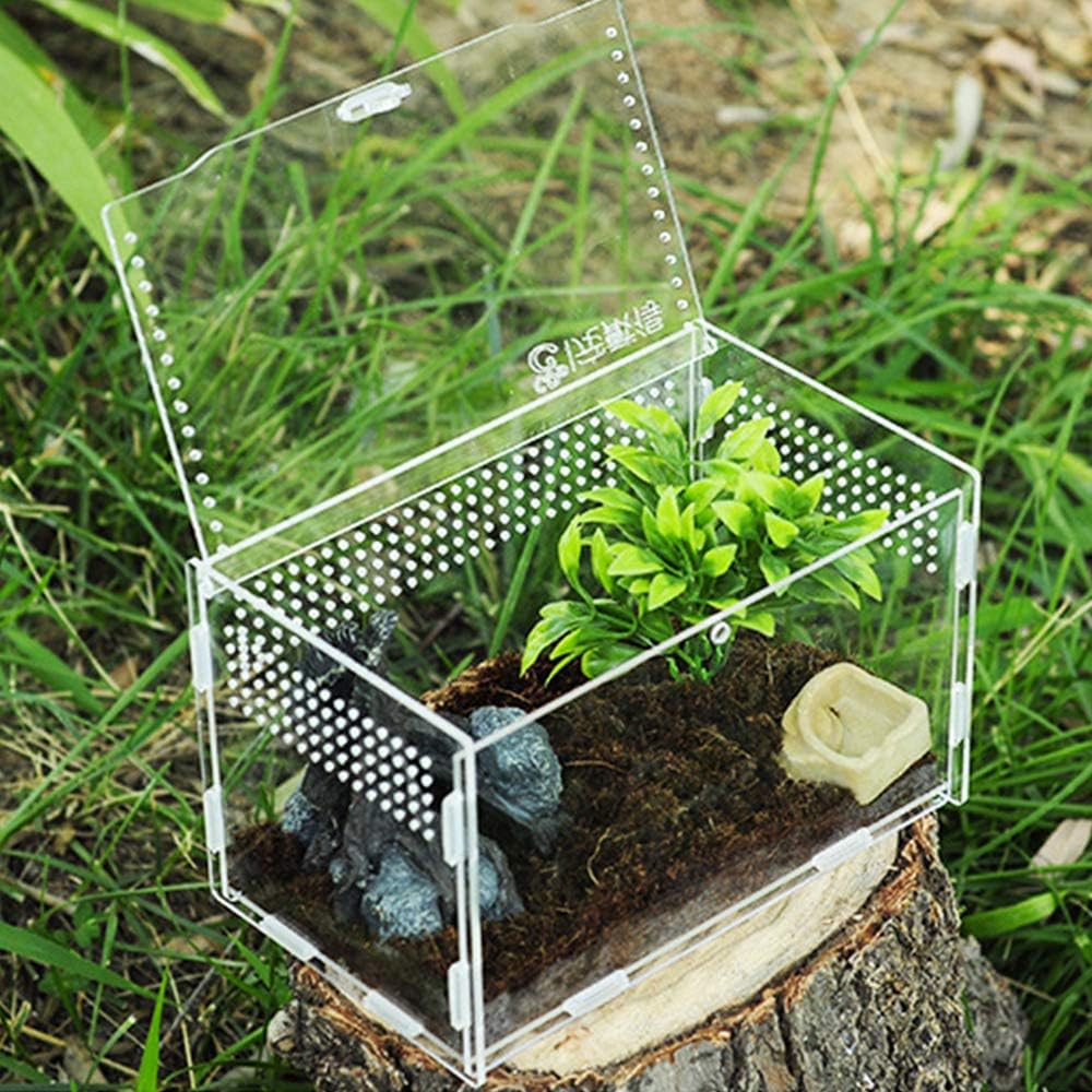 Caja Alimentación Insectos claro1