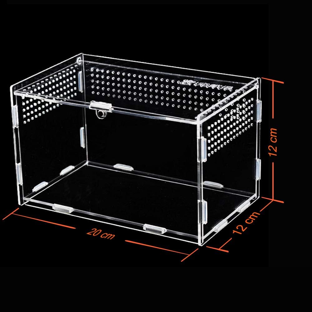 Caja Alimentación Insectos claro1