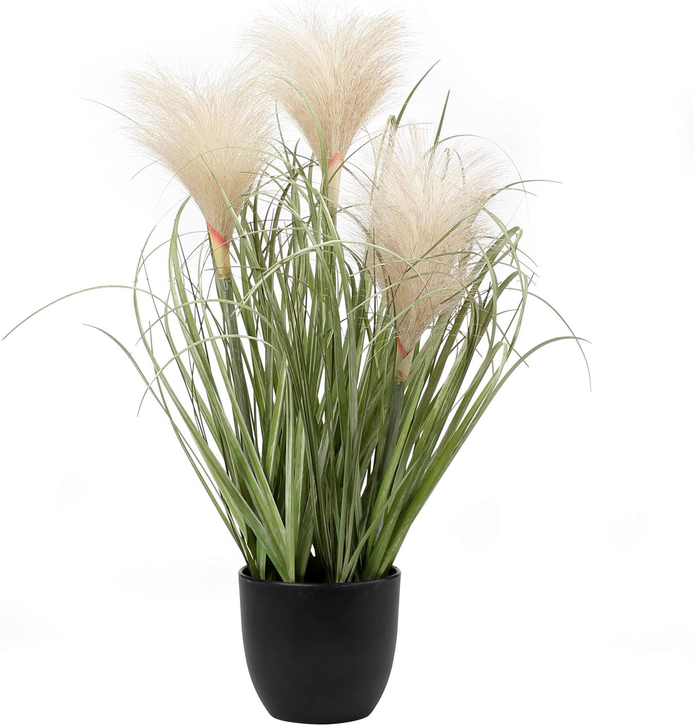 Pampas decorativa en maceta
