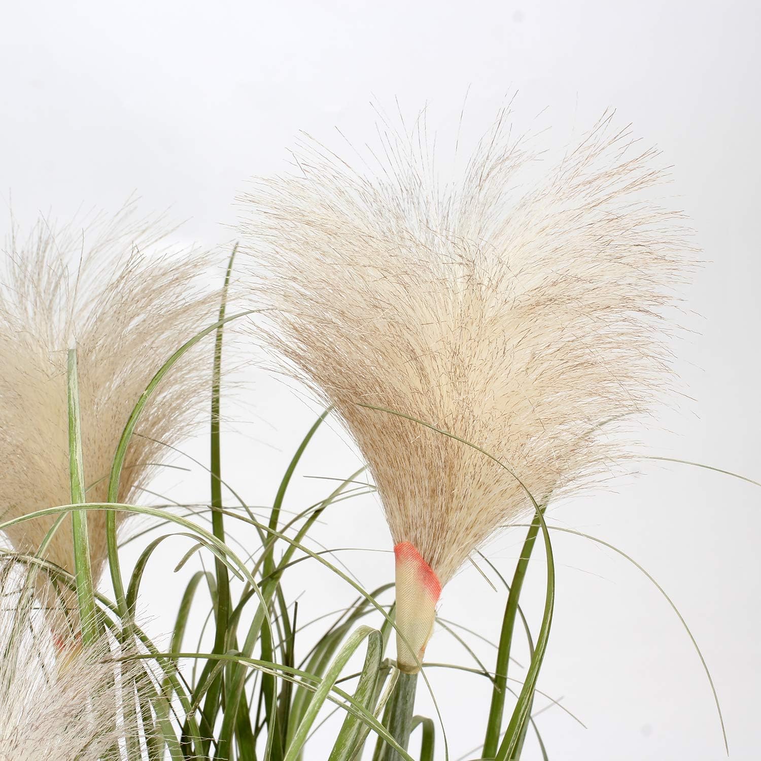 Pampas decorativa en maceta