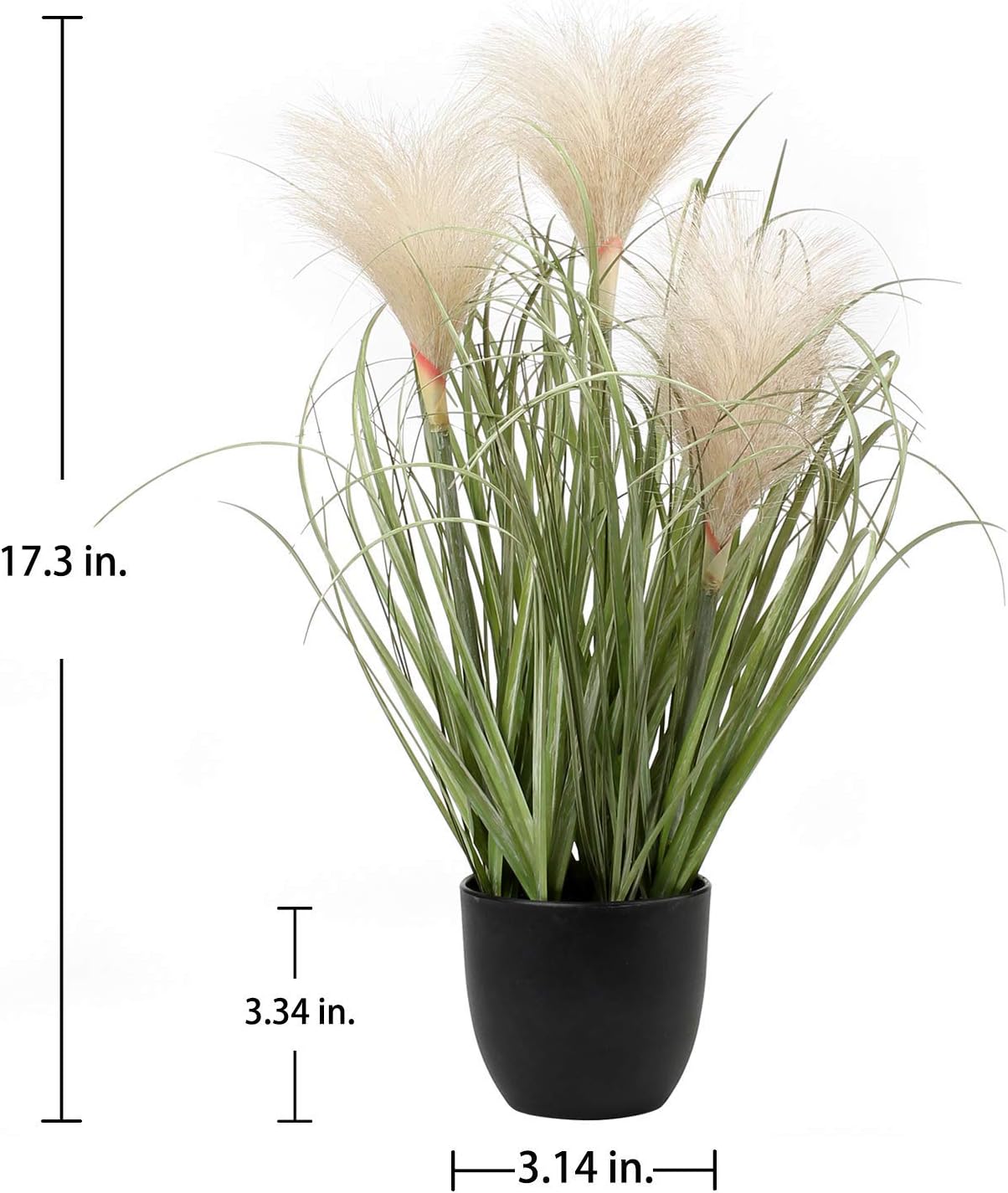 Pampas decorativa en maceta