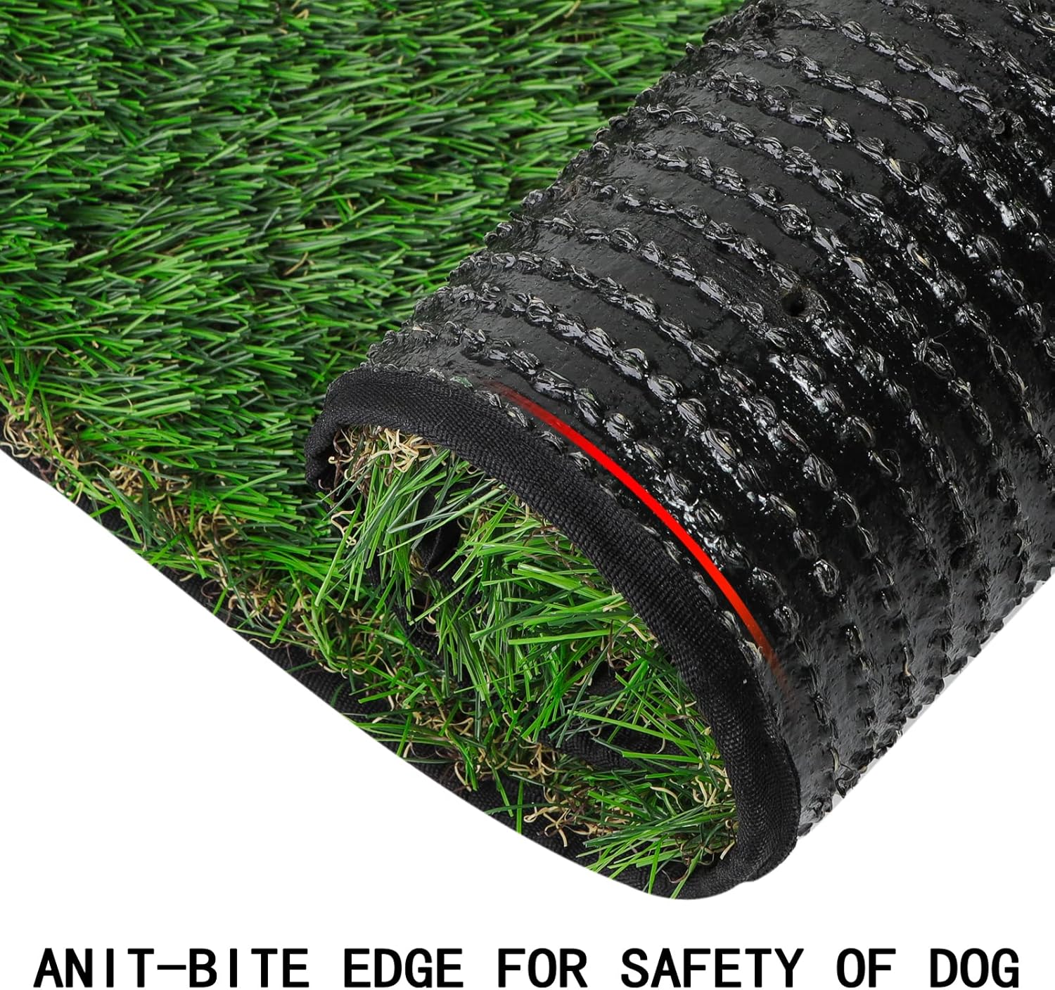 Inodoro Grande para Perros