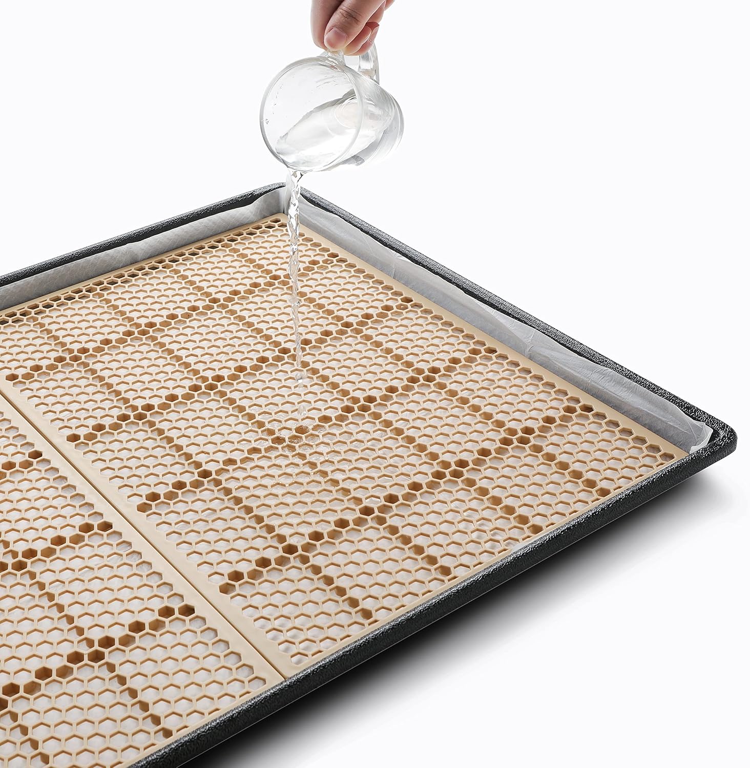 Inodoro Grande para Perros