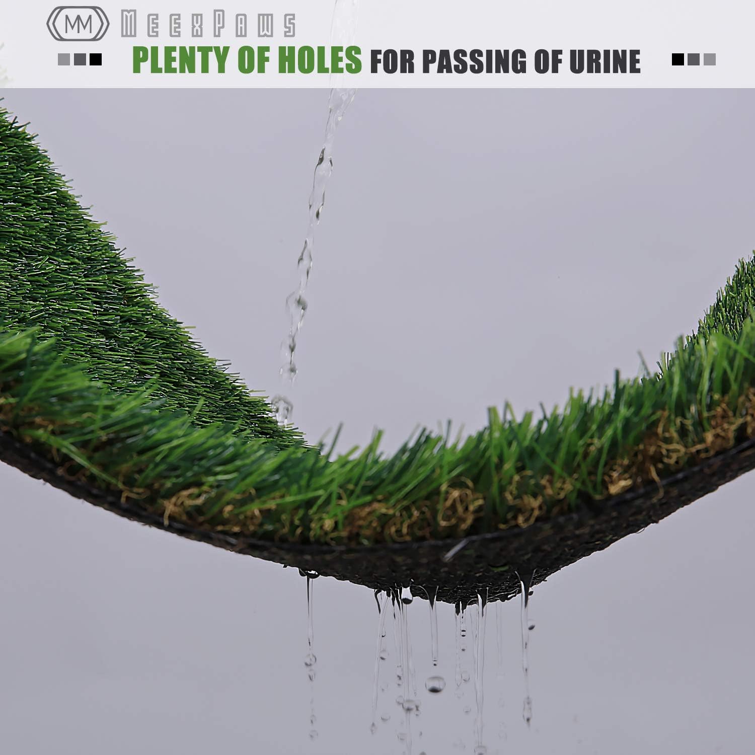 Inodoro Grande para Perros