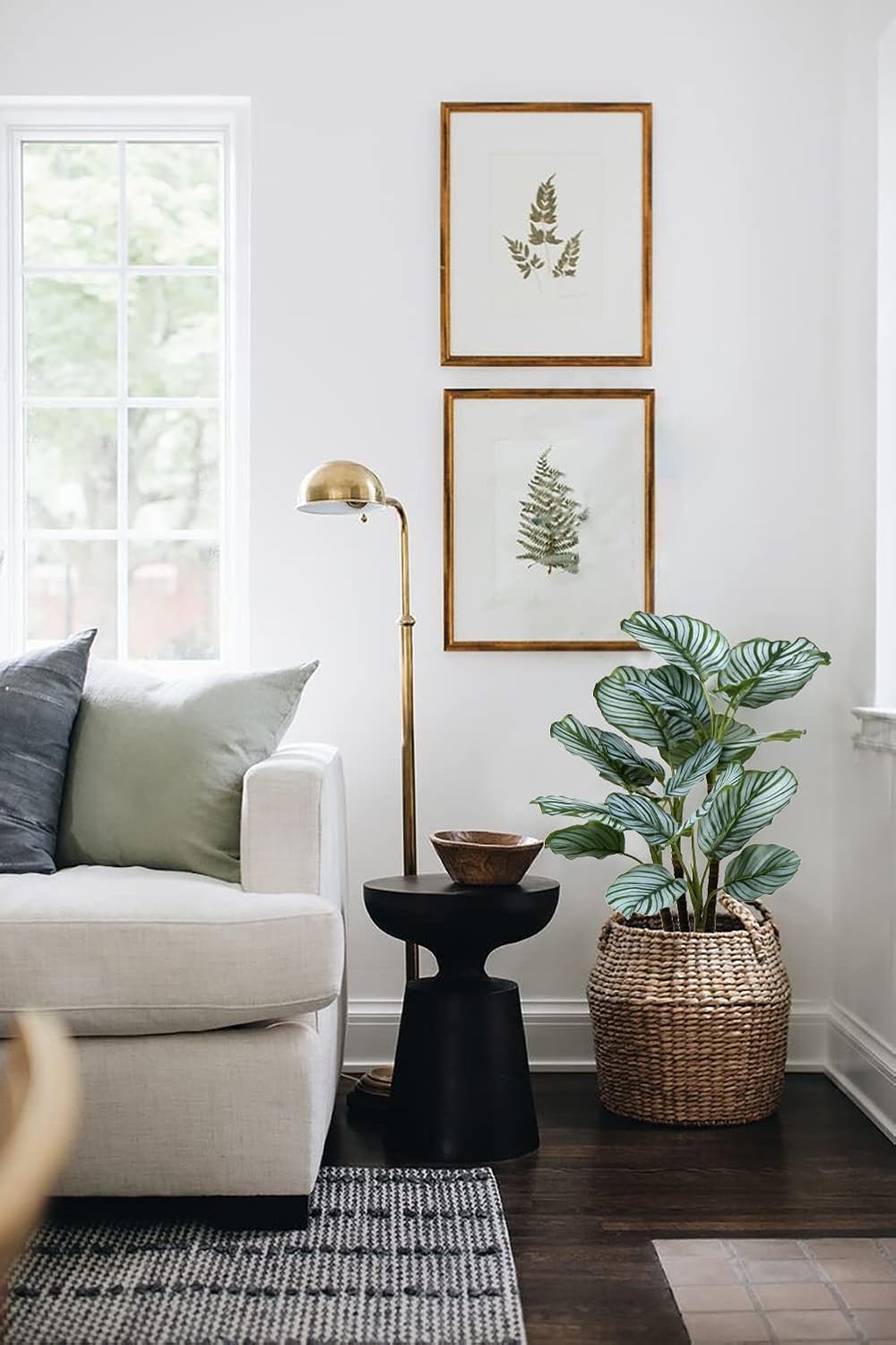 Calatheas Orbifolia Artificial