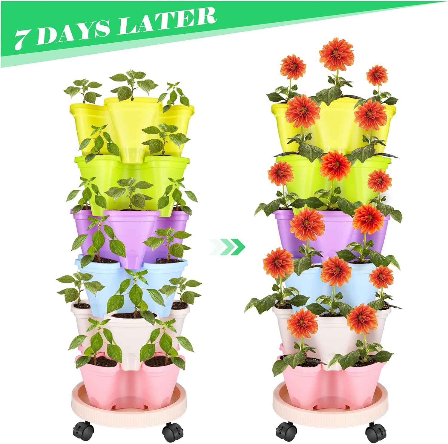 Macetas Tridimensionales Fresa