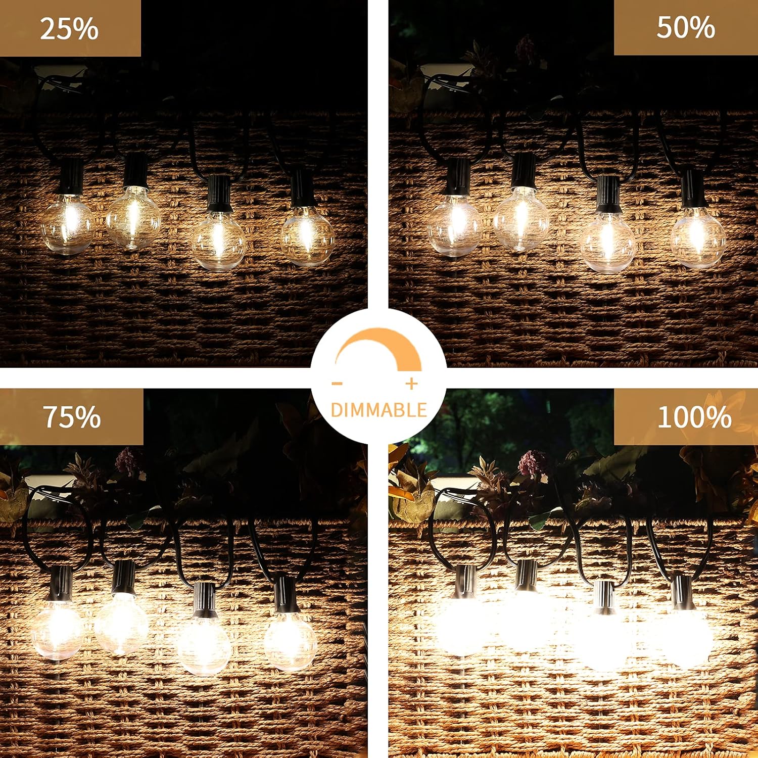 Cadena de Luces LED G40 WiFi
