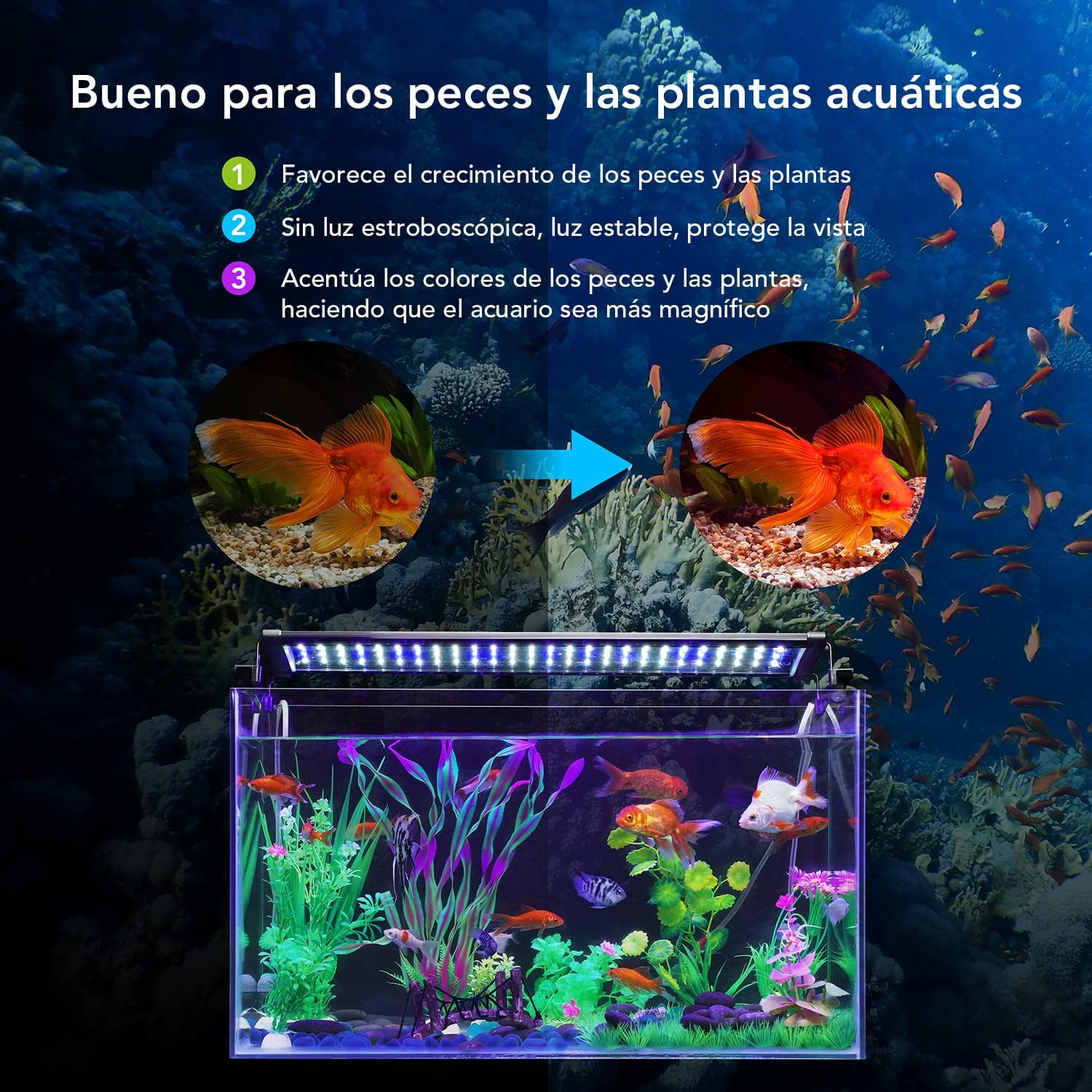 Iluminación LED Acuario 12W