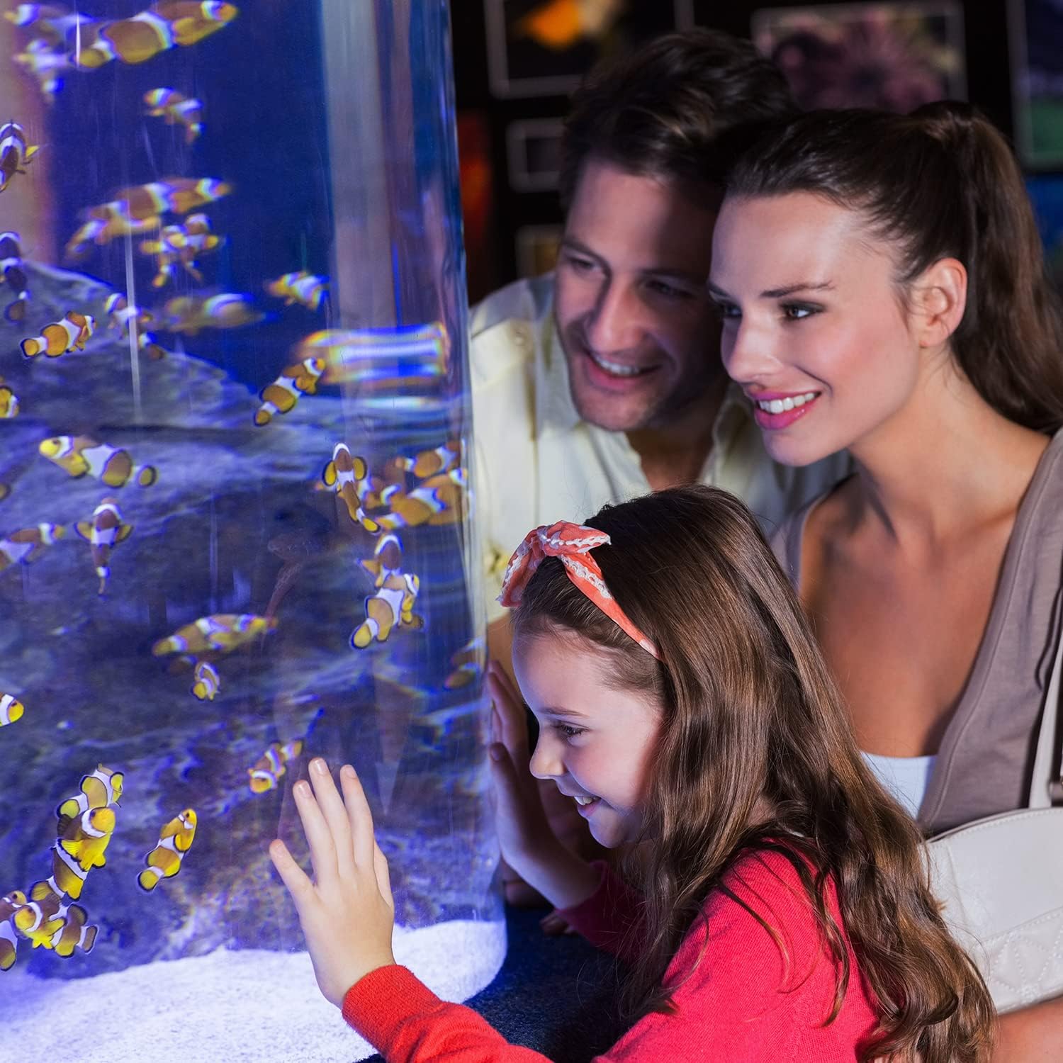 Iluminación LED Acuario 12W