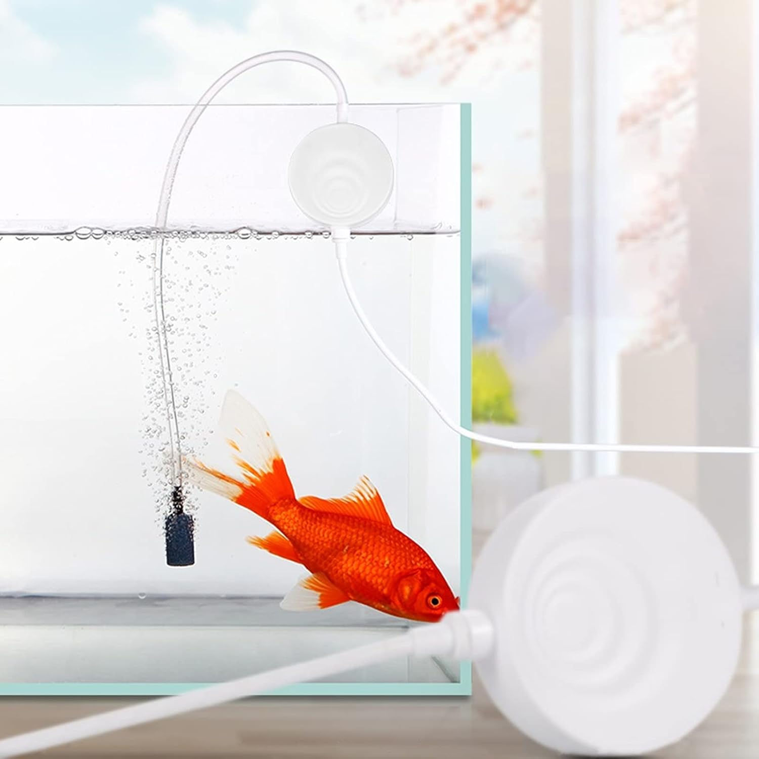 Oxigenador Acuario 1-50L Silencioso