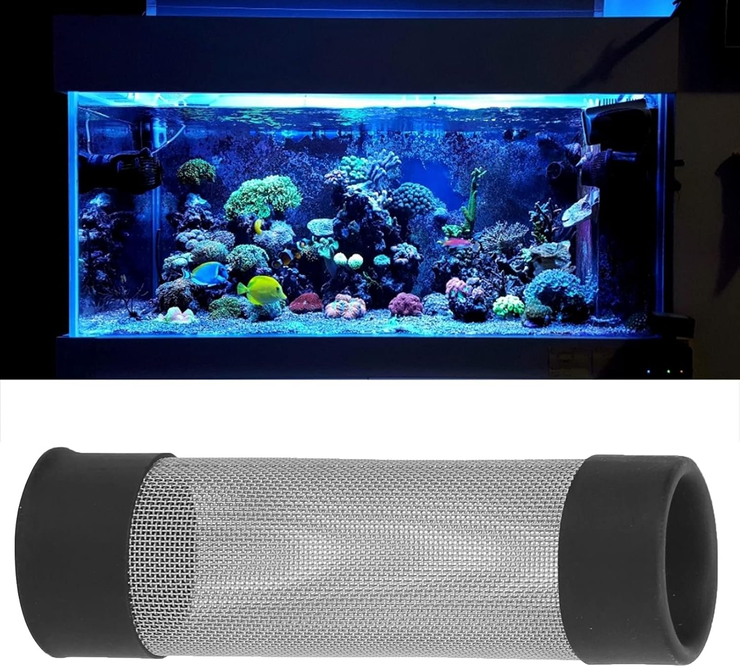 Filtro de entrada para acuario