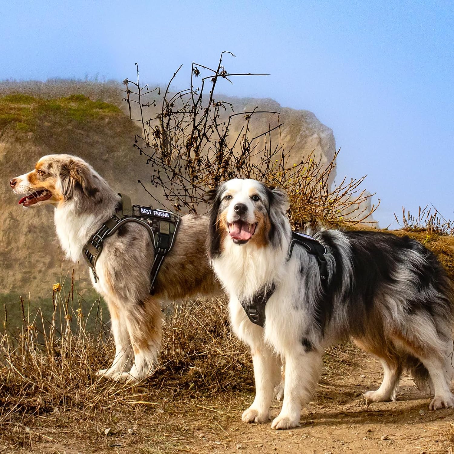 Arnés Antitirones para Perro