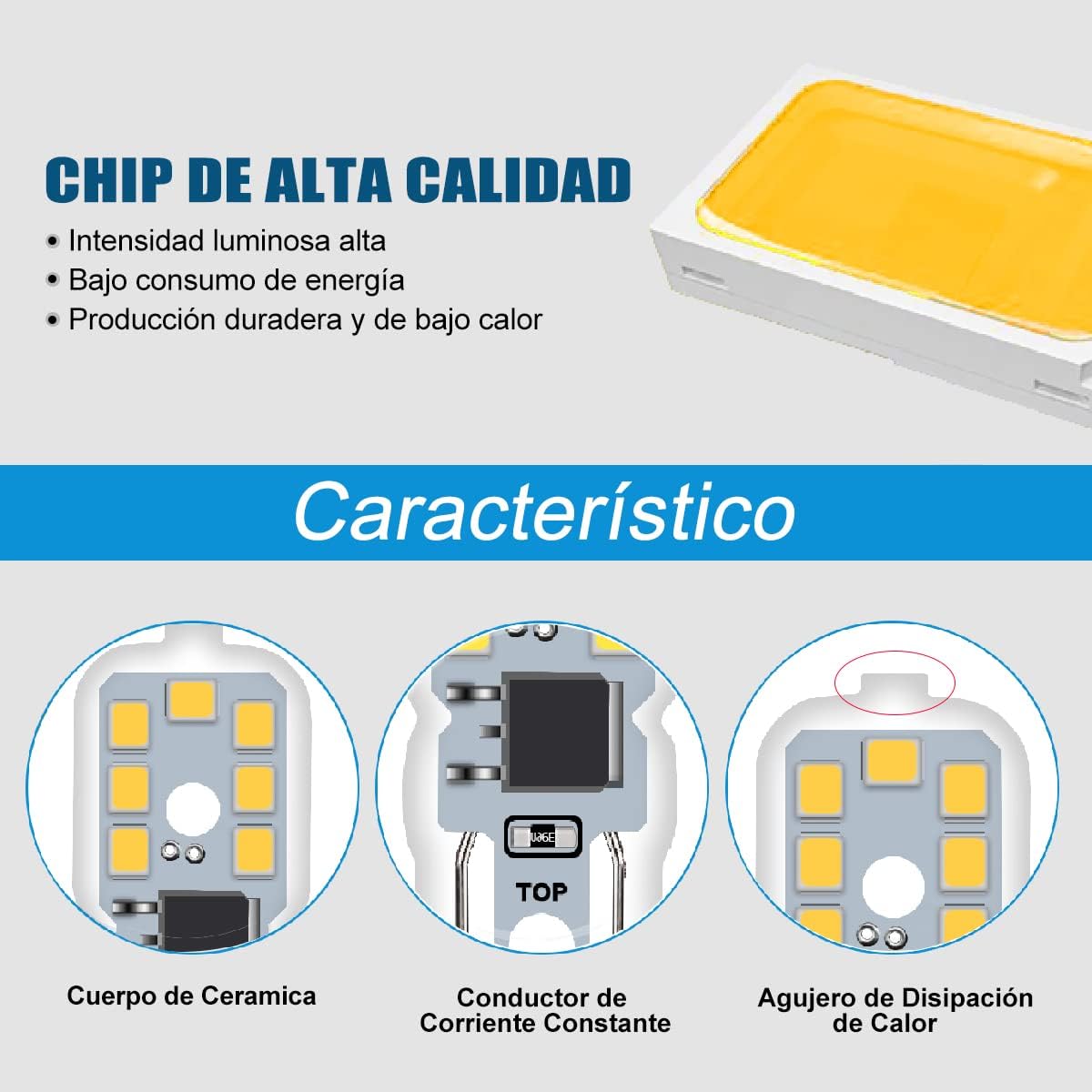 Bombillas LED Cálidas 3000K 6U