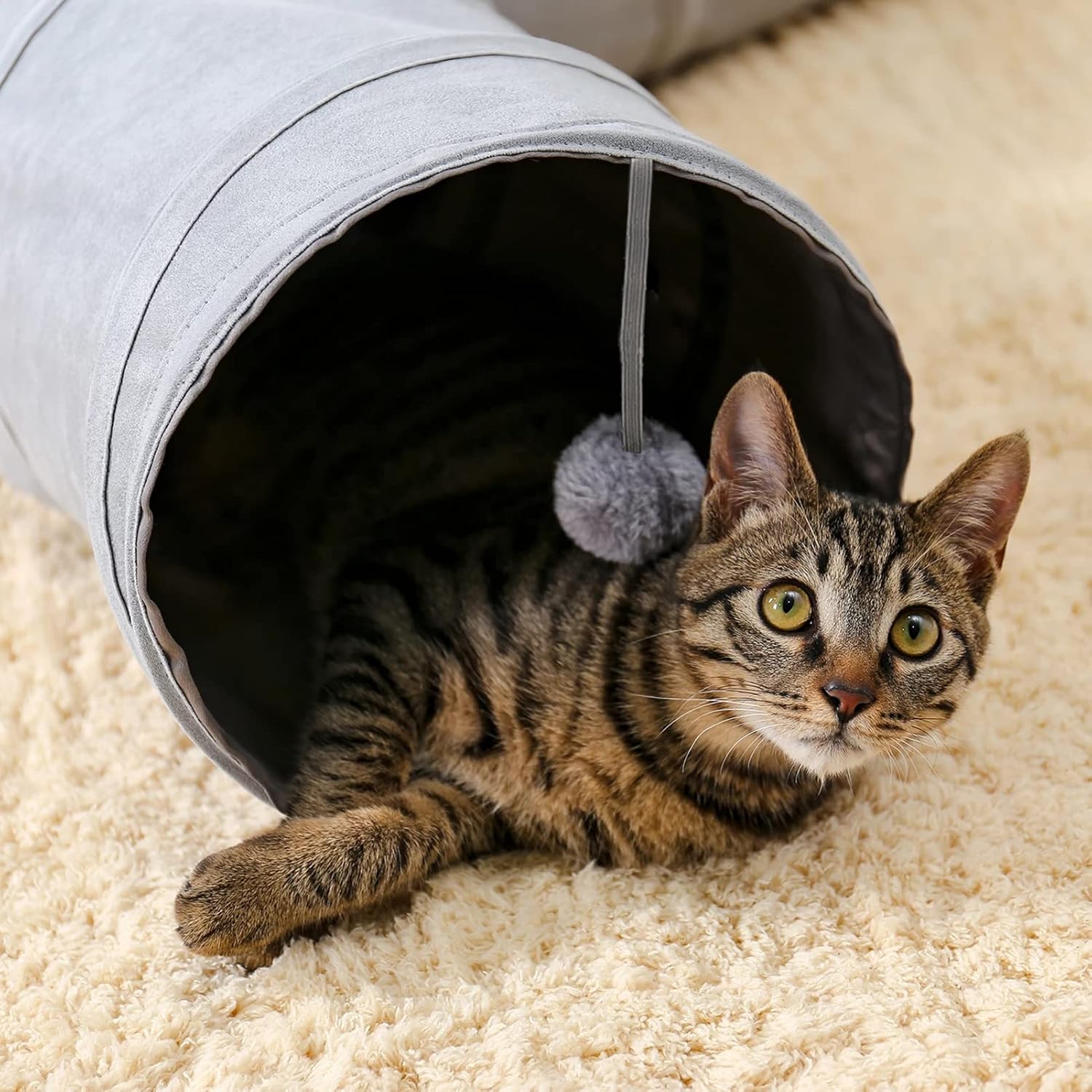 Túnel Silencioso para Gatos