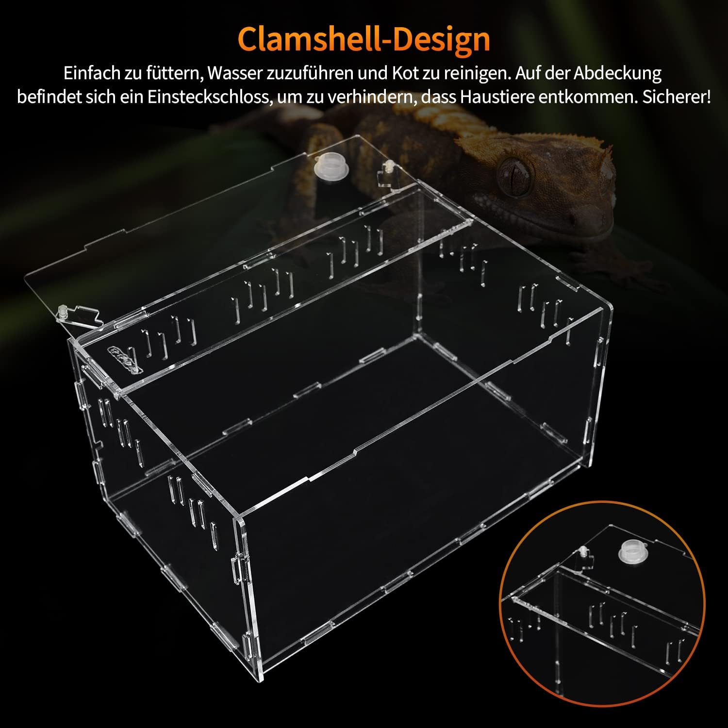 Caja Reptil Acrílico 38x25 cm