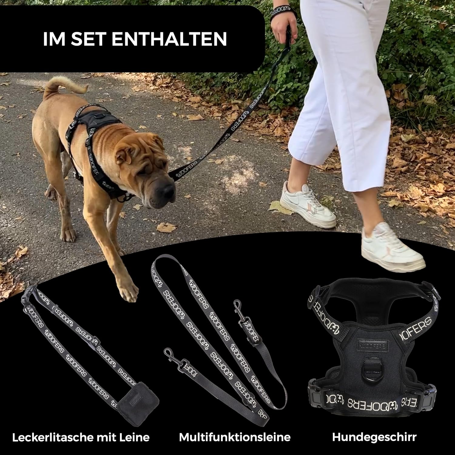 Arnés antitirones para perros