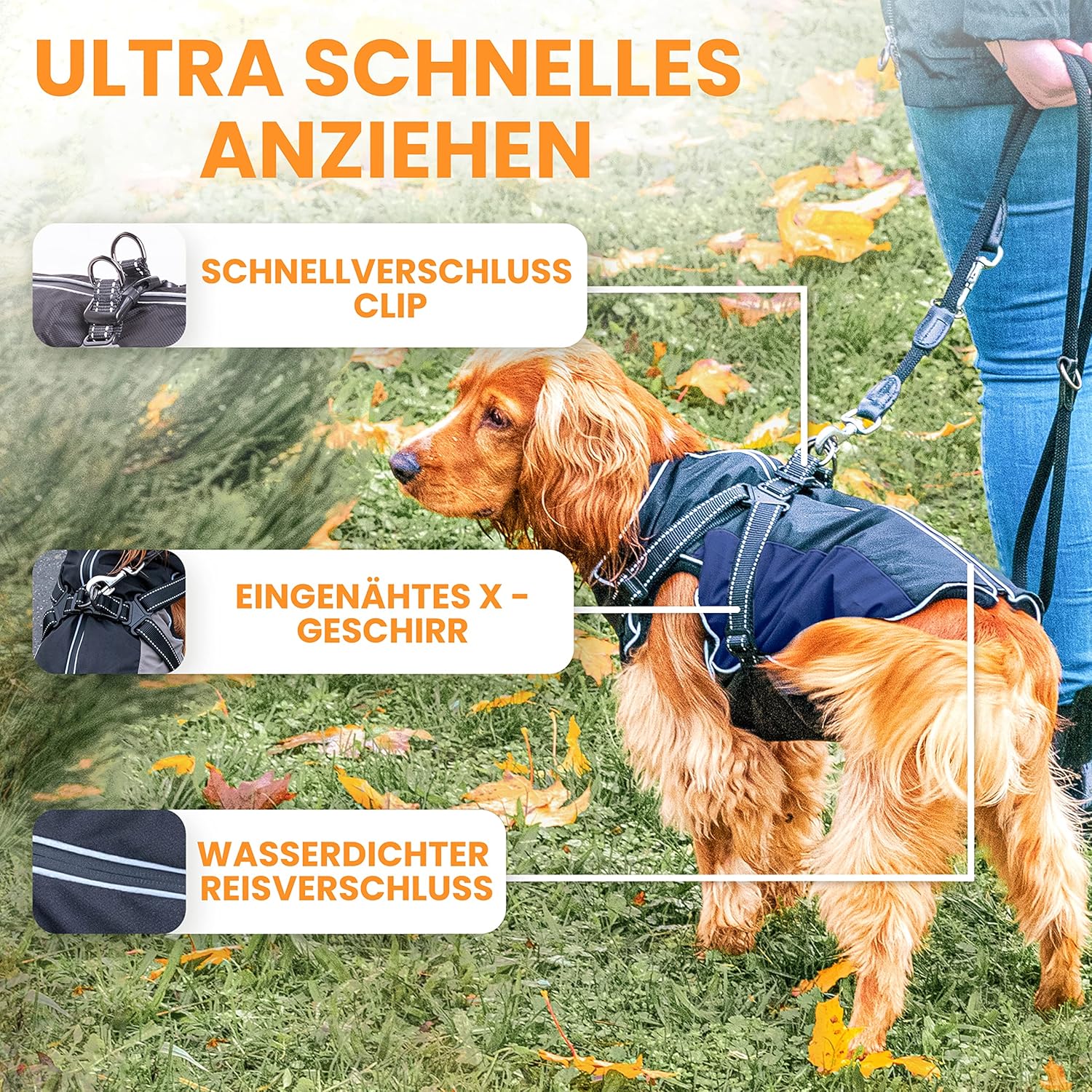 Chubasquero Impermeable Azul para Perros