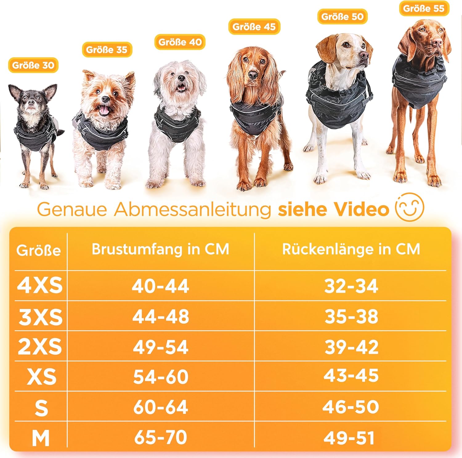 Chubasquero Impermeable Azul para Perros
